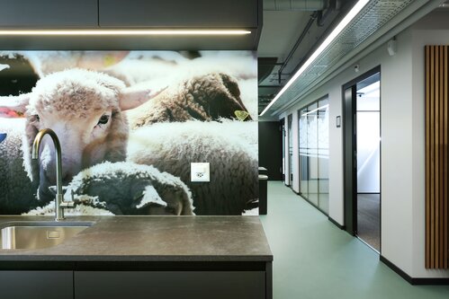 Identitas AG in Wankdorf